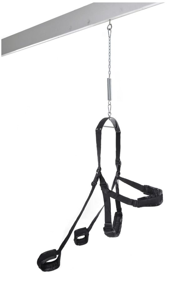 FETISH FANTASY SERIES FANTASY SWING - Afbeelding 4